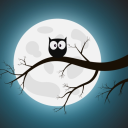 the-night-owls-blog avatar