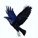 the-nonchalance-draws avatar