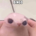 the-noodles-are-salty avatar