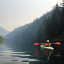 the-northwesterner avatar