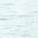 the-nugget-destroyer avatar