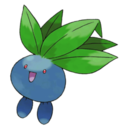 the-odd-oddish avatar