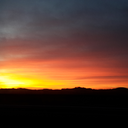 the-once-and-future-me avatar