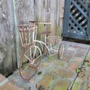 the-one-and-only-sam avatar