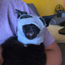 the-one-that-cries avatar