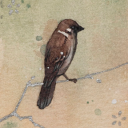 the-only-thing-i-own-entirely avatar