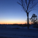 the-other-one1 avatar