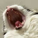 the-other-psycho-up-the-road avatar