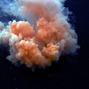 the-other-tansy avatar