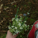 the-ourple-ouppy avatar