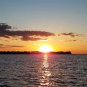 the-owly-lady avatar