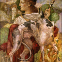 the-painted-owl avatar