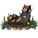 the-path-of-dreamers avatar