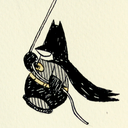 the-penguiniverse avatar