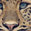 the-perfectimperfect avatar