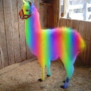 the-perks-of-being-left-handed avatar