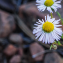 the-photo-life avatar