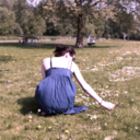 the-picnicker avatar