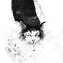 the-picture-of-eve avatar