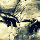 the-pigeon-king avatar