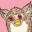 the-pizza-doge avatar