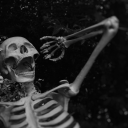 the-poke-trainer avatar