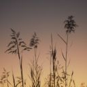 the-ponzzi-blog avatar