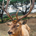 the-power-of-one avatar