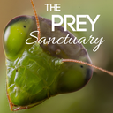 the-prey-sanctuary avatar