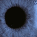 the-princess-pg avatar