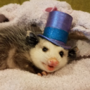 the-proper-possum avatar