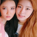 the-pup-and-the-lion avatar