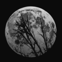 the-pure-empathy avatar