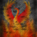 the-queer-phoenix avatar