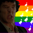 the-queerlock-queen avatar