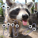 the-raccoon-in-your-walls avatar