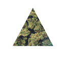 the-ragamuffin-blog avatar