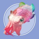 the-rainbow-reef avatar