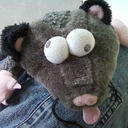 the-randomdog avatar