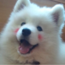 the-ravenswritingdesk avatar