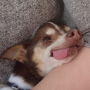 the-reading-1 avatar