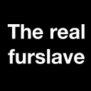 the-real-furslave avatar