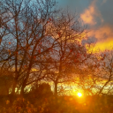 the-real-hoagie-roll avatar