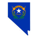 the-real-nevada avatar