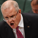 the-real-scomo avatar