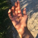 the-reel-albacat avatar