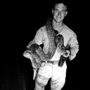 the-replaceable-soulmate avatar