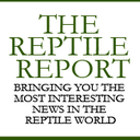 the-reptile-report avatar