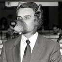 the-rightmood avatar