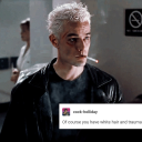 the-rose-theory avatar